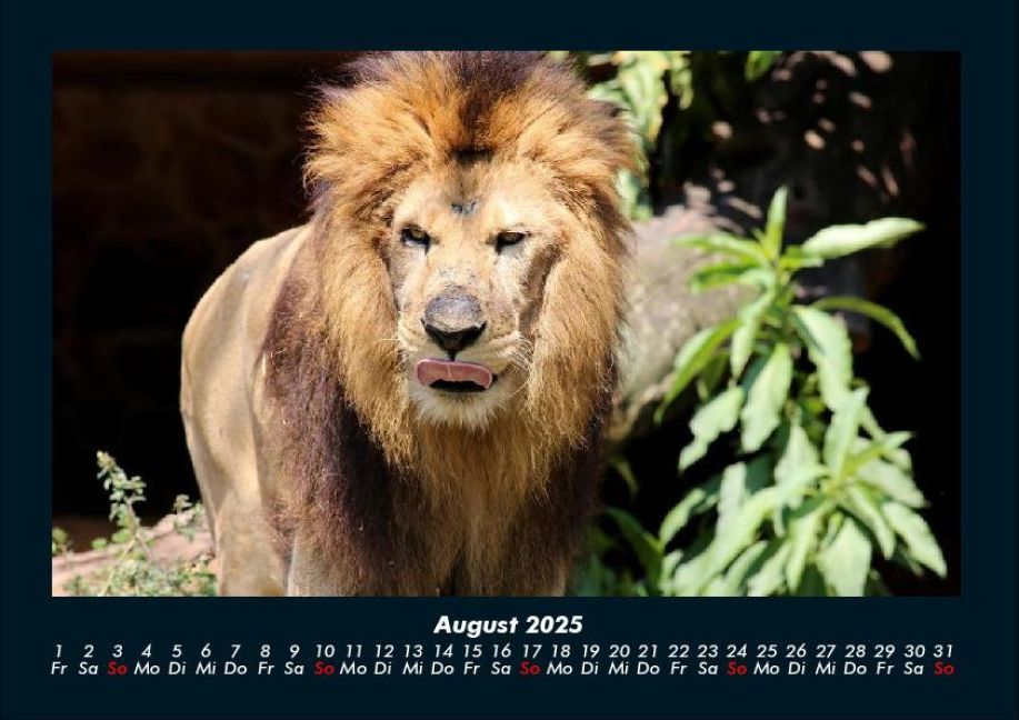 InsideView 12