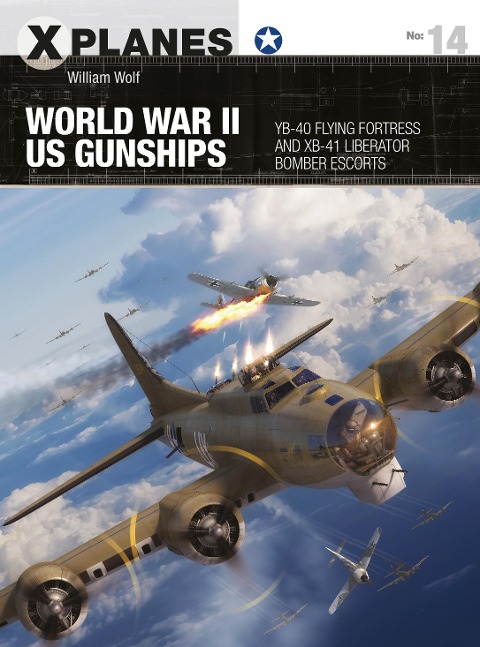 World War II US Gunships - William Wolf