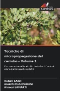 Tecniche di micropropagazione del carrubo - Volume 1 - Rabah Saidi, Abdelfettah Maouni, Ahmed Lamarti