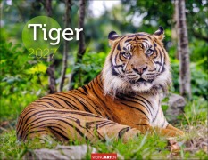 Cover-Bild zum Titel 'Tiger Kalender 2027' von ''