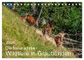 Die Natur erleben - Wildtiere in Graubünden (Tischkalender 2024 DIN A5 quer), CALVENDO Monatskalender - Jürg Plattner
