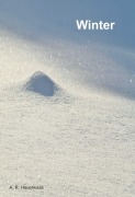 Cover-Bild zum Titel 'Winter' von 'Andreas Hauerwaas'