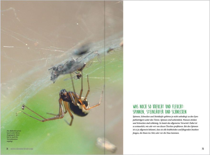 InsideView 5