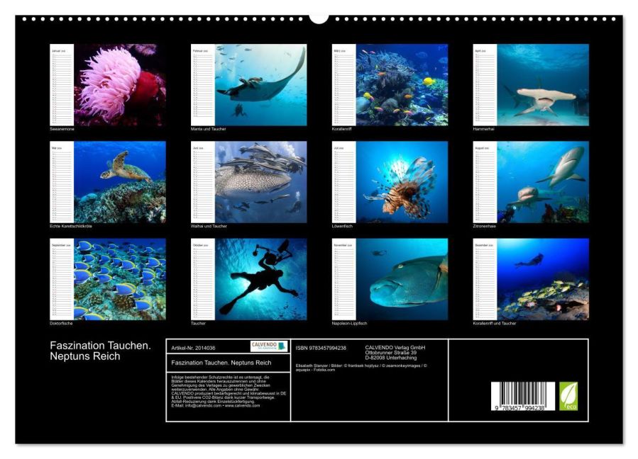 InsideView 4