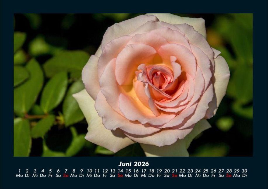 InsideView 10