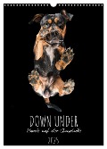 Down Under - Hunde auf der Glasplatte (Wandkalender 2025 DIN A3 hoch), CALVENDO Monatskalender - Silke Gareis