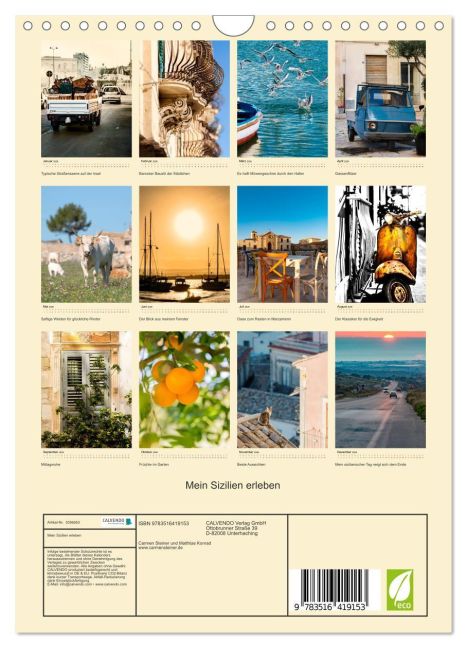 InsideView 5