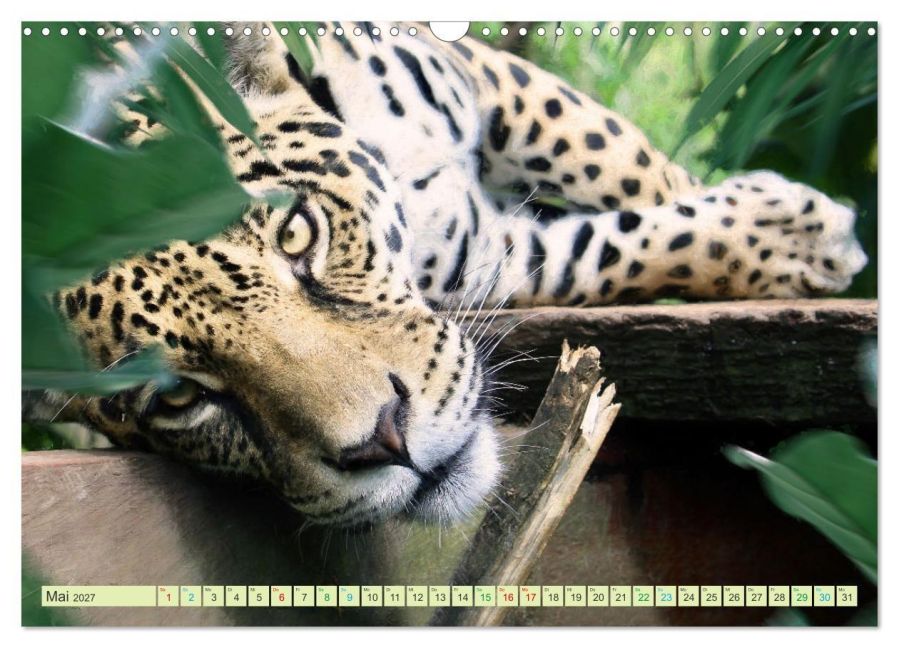 InsideView 10