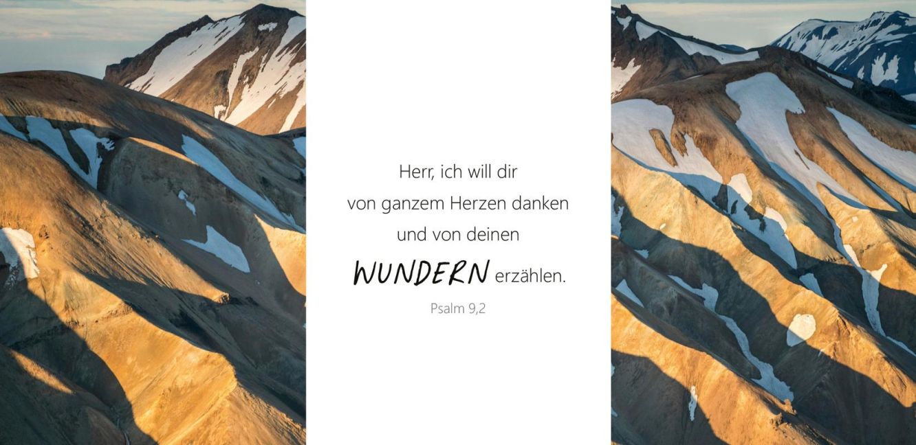 InsideView 3