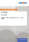 Cover-Bild zum Titel 'Impfstoffe' von 'A. Schneider'