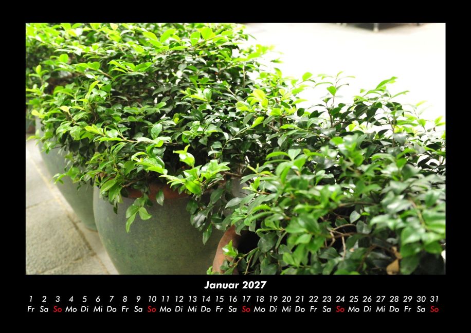 InsideView 5