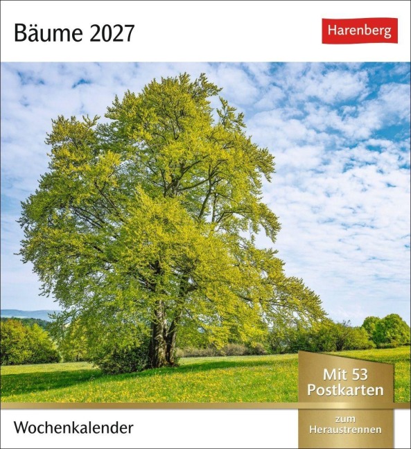 Bäume Postkartenkalender 2027 - Wochenkalender mit 53 Postkarten - 