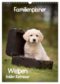 Familienplaner: Golden Retriever Welpen (Wandkalender 2025 DIN A3 hoch), CALVENDO Monatskalender - Anna Auerbach