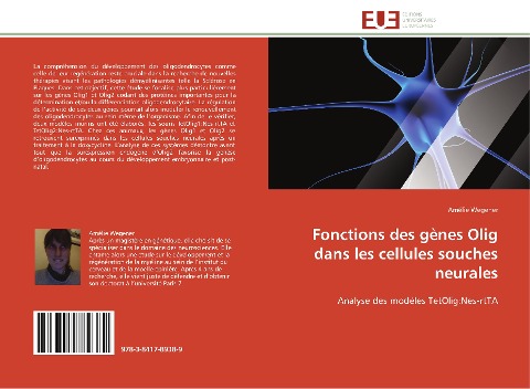 Fonctions des gènes Olig dans les cellules souches neurales - Amélie Wegener