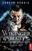Cover-Bild zum Titel 'Wikingerblut - Schlacht der Nordmänner' von 'Jürgen Bärbig'
