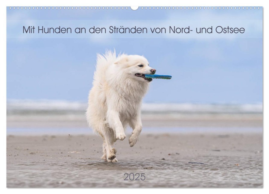 Mit Hunden an den Stränden von Nord- und Ostsee (Wandkalender 2025 DIN A2 quer), CALVENDO Monatskalender - Monika Scheurer