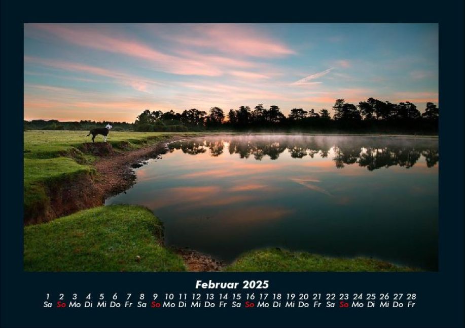 InsideView 6