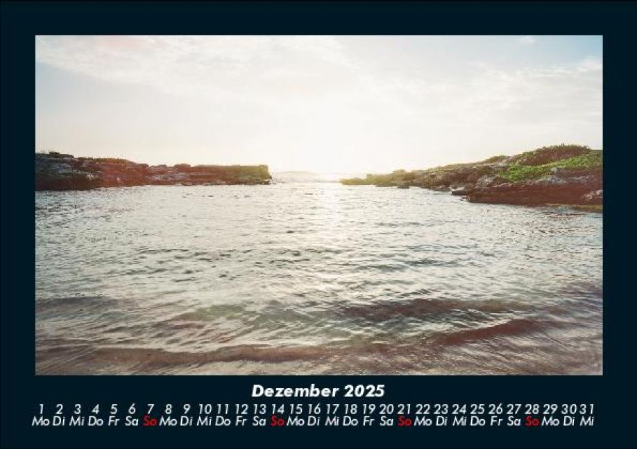InsideView 4