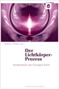 Cover-Bild zum Titel 'Der Lichtkörper-Prozess' von ''