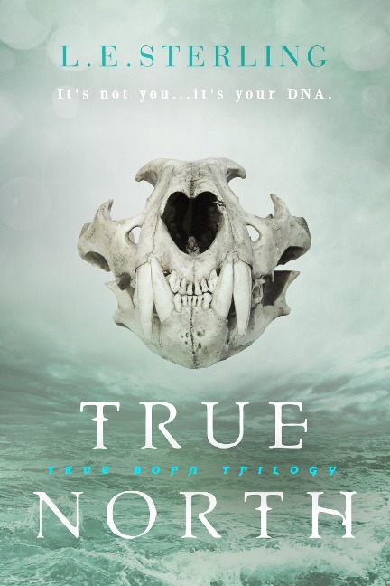 True North - L E Sterling