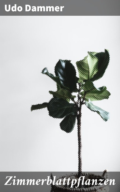 Zimmerblattpflanzen - Udo Dammer