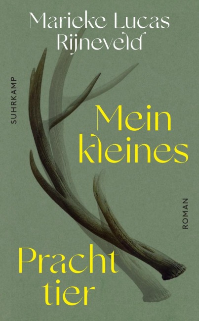 Mein kleines Prachttier - Lucas Rijneveld