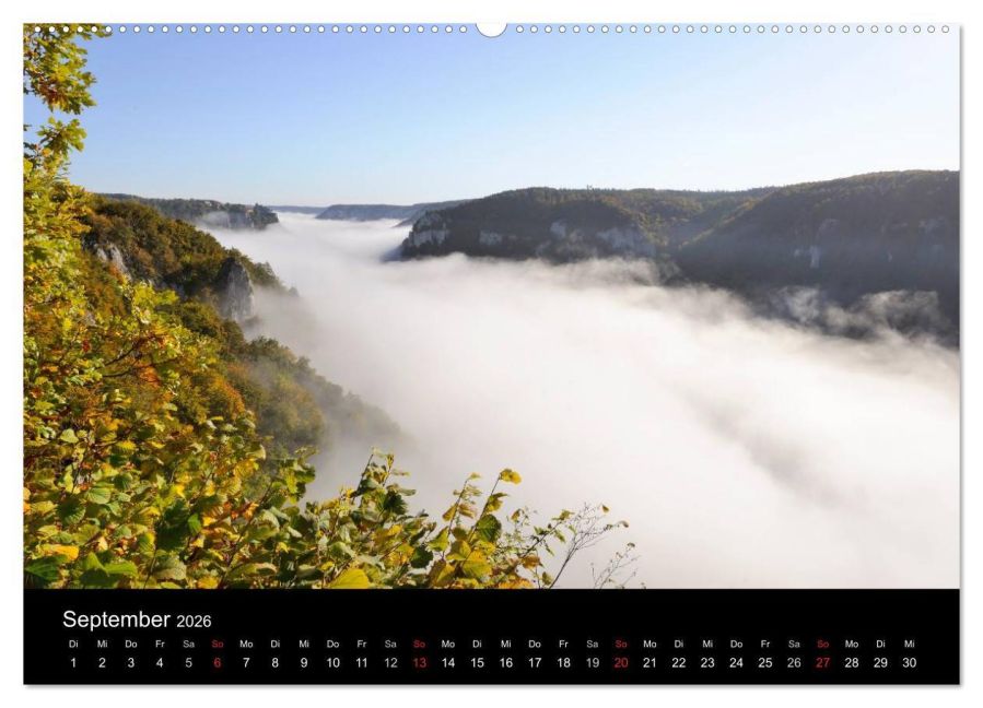 InsideView 13