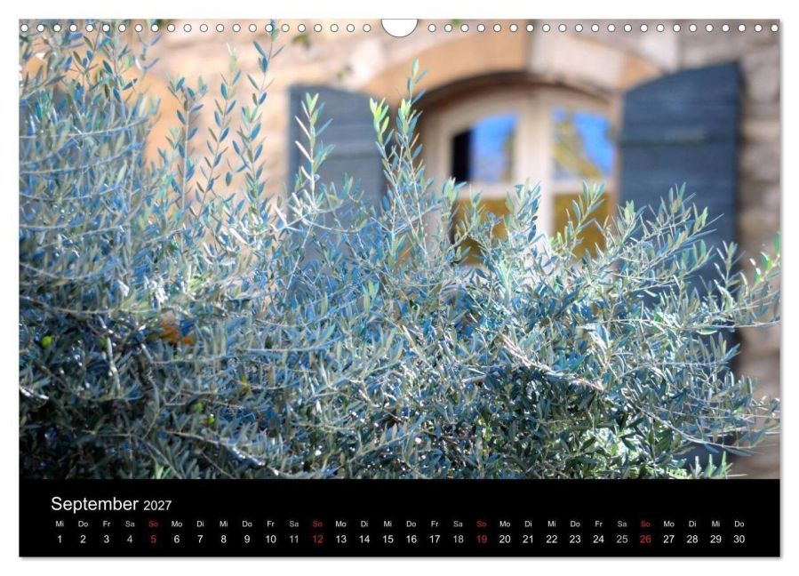 InsideView 14