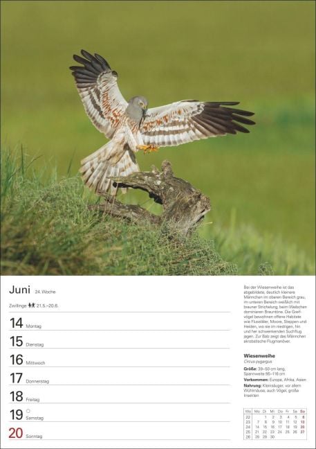 InsideView 5