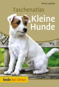Cover-Bild zum Titel 'Taschenatlas Kleine Hunde' von 'Anna Laukner'