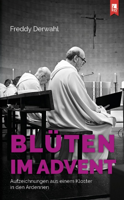 Blüten im Advent - Freddy Derwahl