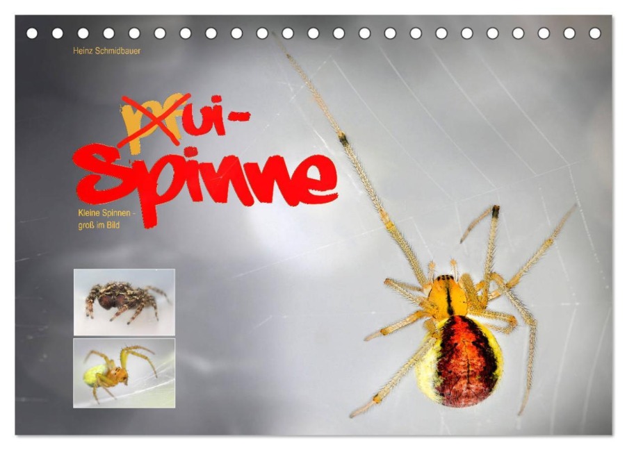 ui - Spinne. Kleine Spinnen - groß im Bild (Tischkalender 2026 DIN A5 quer), CALVENDO Monatskalender - Heinz Schmidbauer