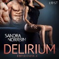 Cover-Bild zum Titel 'Delirium: Erotische Novelle' von 'Sandra Norrbin'