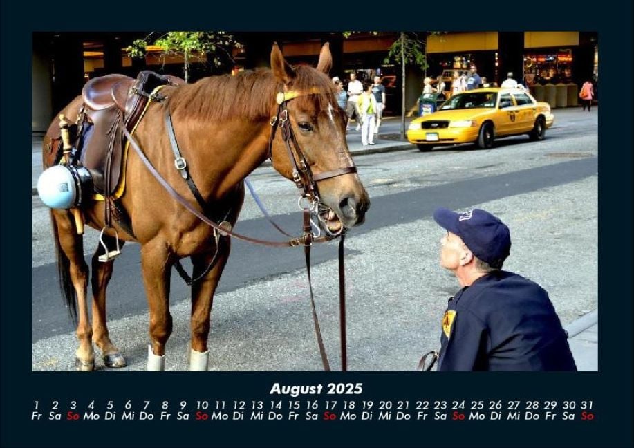 InsideView 12