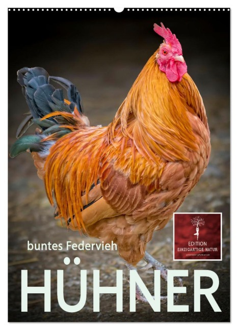 Hühner - buntes Federvieh (Wandkalender 2026 DIN A2 hoch), CALVENDO Monatskalender - Peter Roder