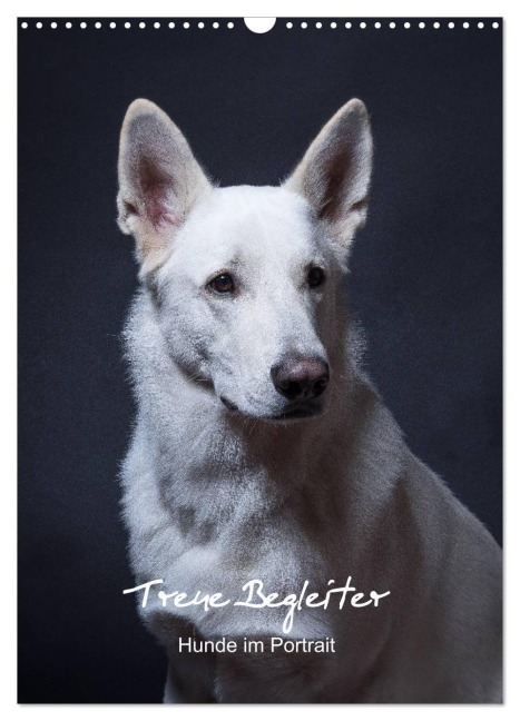 Treue Wegbegleiter, Hunde im Portrait. (Wandkalender 2026 DIN A3 hoch), CALVENDO Monatskalender - Susanne Stark