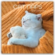 Cat Naps - Träumende Katzen 2026 - 16-Monatskalender - Gifted Stationery Co. Ltd