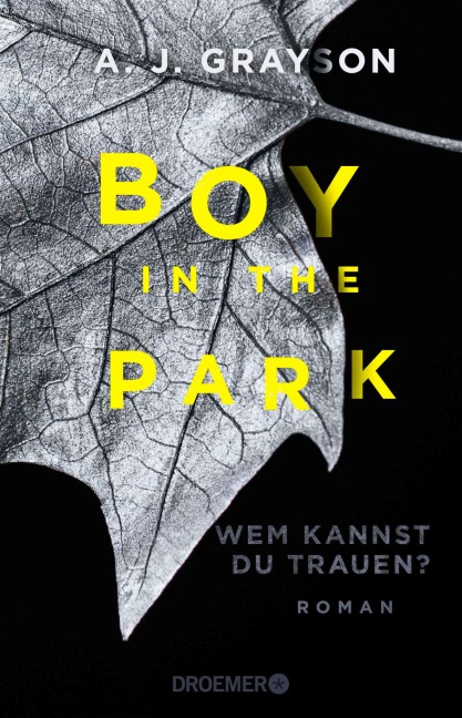 Boy in the Park - Wem kannst du trauen? - A. J. Grayson