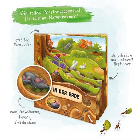 InsideView 1