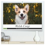 Welsh Corgi - Der Kobold unter den Hunden (hochwertiger Premium Wandkalender 2026 DIN A2 quer), Kunstdruck in Hochglanz - Maria Ahrens