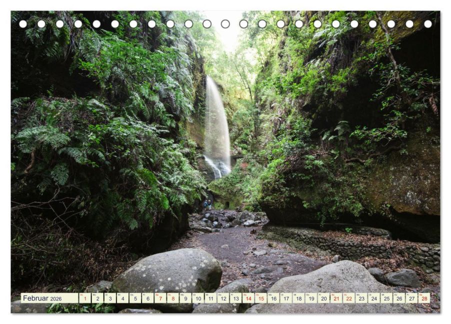 InsideView 7