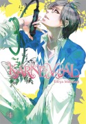 Cover-Bild zum Titel 'Karneval, Volume 4' von 'Touya Mikanagi'
