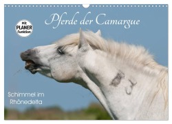 Cover-Bild zum Titel 'Pferde der Camargue - Schimmel im Rhônedelta (Wandkalender 2026 DIN A3 quer), CALVENDO Monatskalender' von 'Meike Bölts'