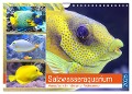 Salzwasseraquarium. Meeresfische im heimischen Wohnzimmer (Wandkalender 2025 DIN A4 quer), CALVENDO Monatskalender - Rose Hurley