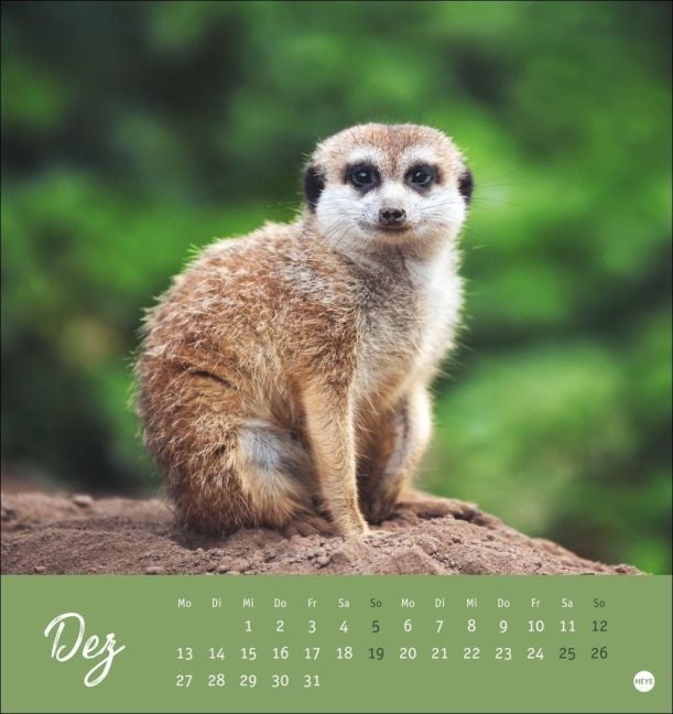 InsideView 12