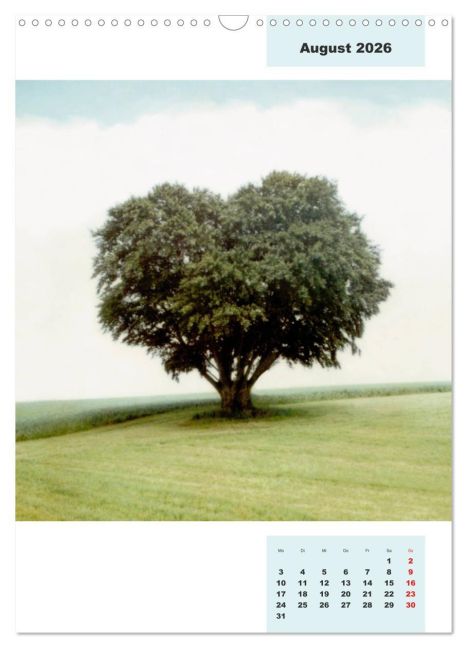 InsideView 13
