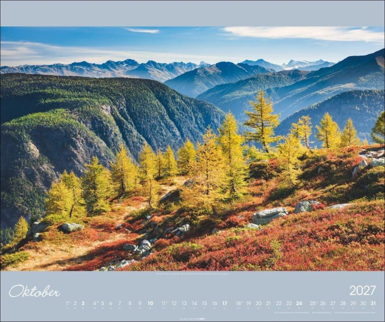 InsideView 10