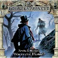 Cover-Bild zum Titel 'War es eine Illusion?' von 'Amelia B. Edwards'