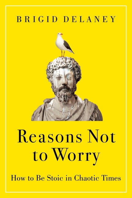 Reasons Not to Worry - Brigid Delaney