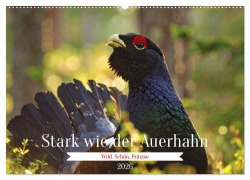 Cover-Bild zum Titel 'Stark wie der Auerhahn (Wandkalender 2026 DIN A2 quer), CALVENDO Monatskalender' von 'Torsten Irmer'
